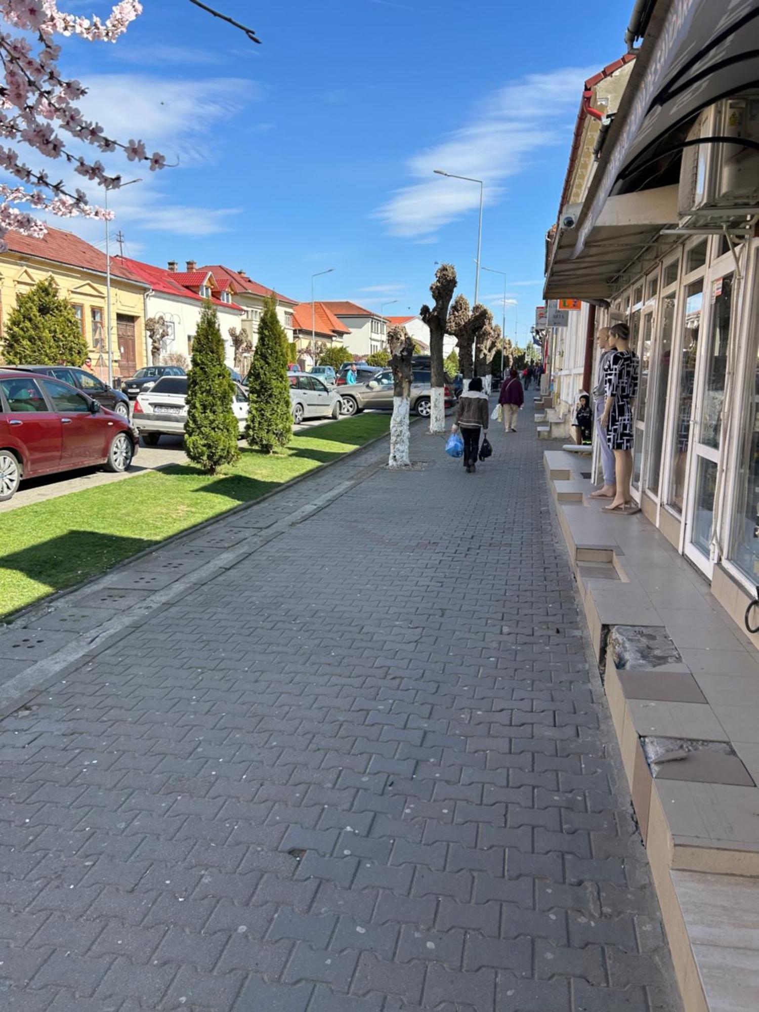 Appartamento Bivolul Negru Blaj Esterno foto