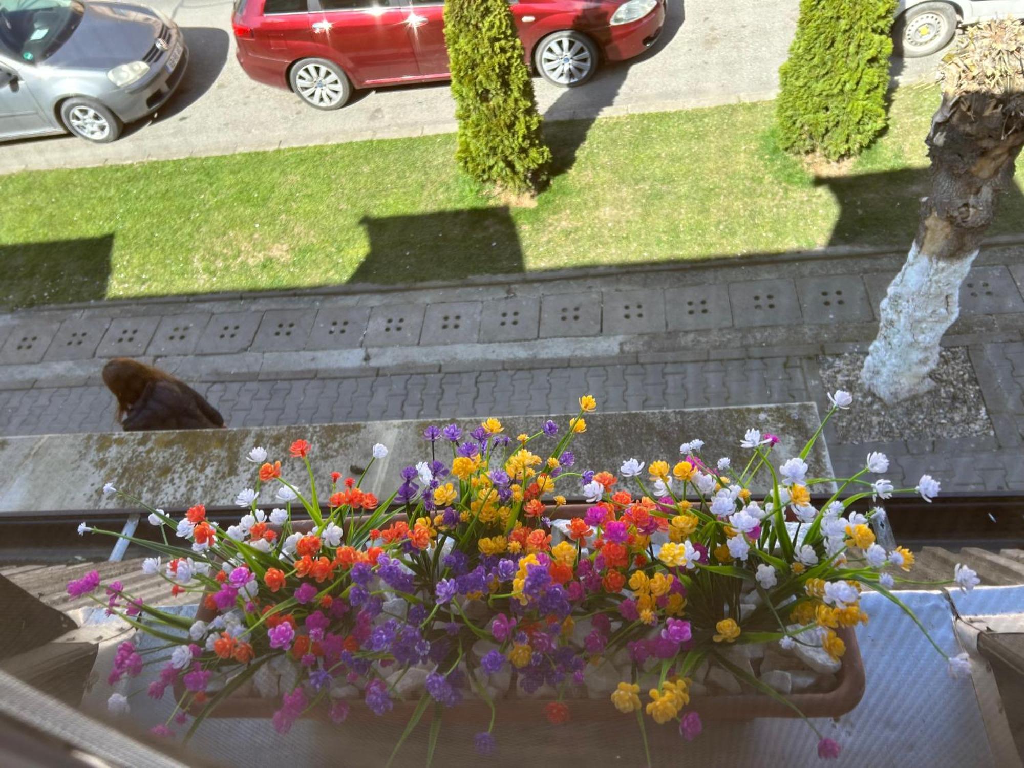 Appartamento Bivolul Negru Blaj Esterno foto